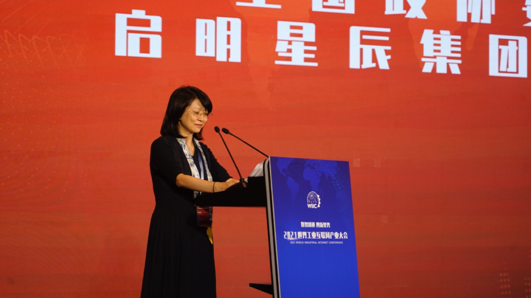 全国政协委员、启明星辰集团董事长严望佳
